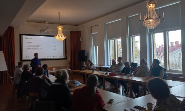 Regatta Spa hotel Hanko, Digi+Hiiletön 2.0 hankkeen työpaja yhdessä Visit Hangon kanssa