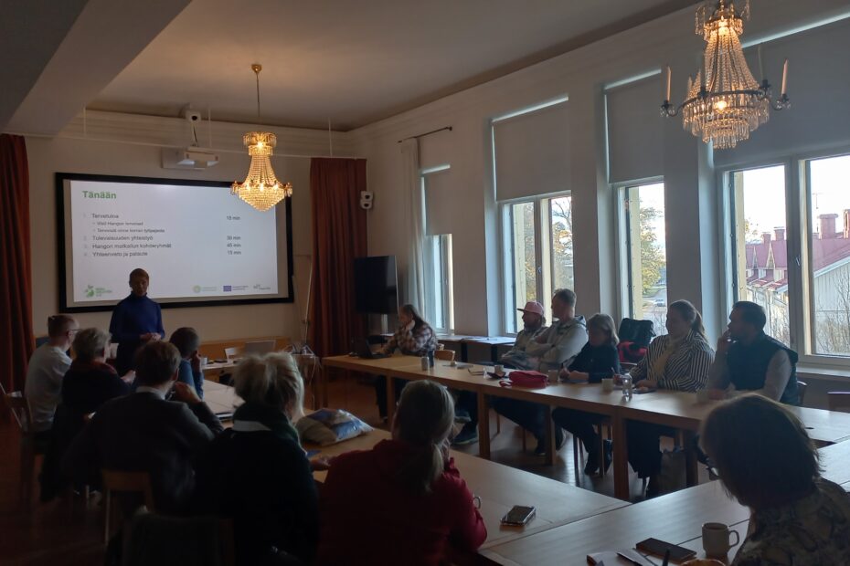 Regatta Spa hotel Hanko, Digi+Hiiletön 2.0 hankkeen työpaja yhdessä Visit Hangon kanssa